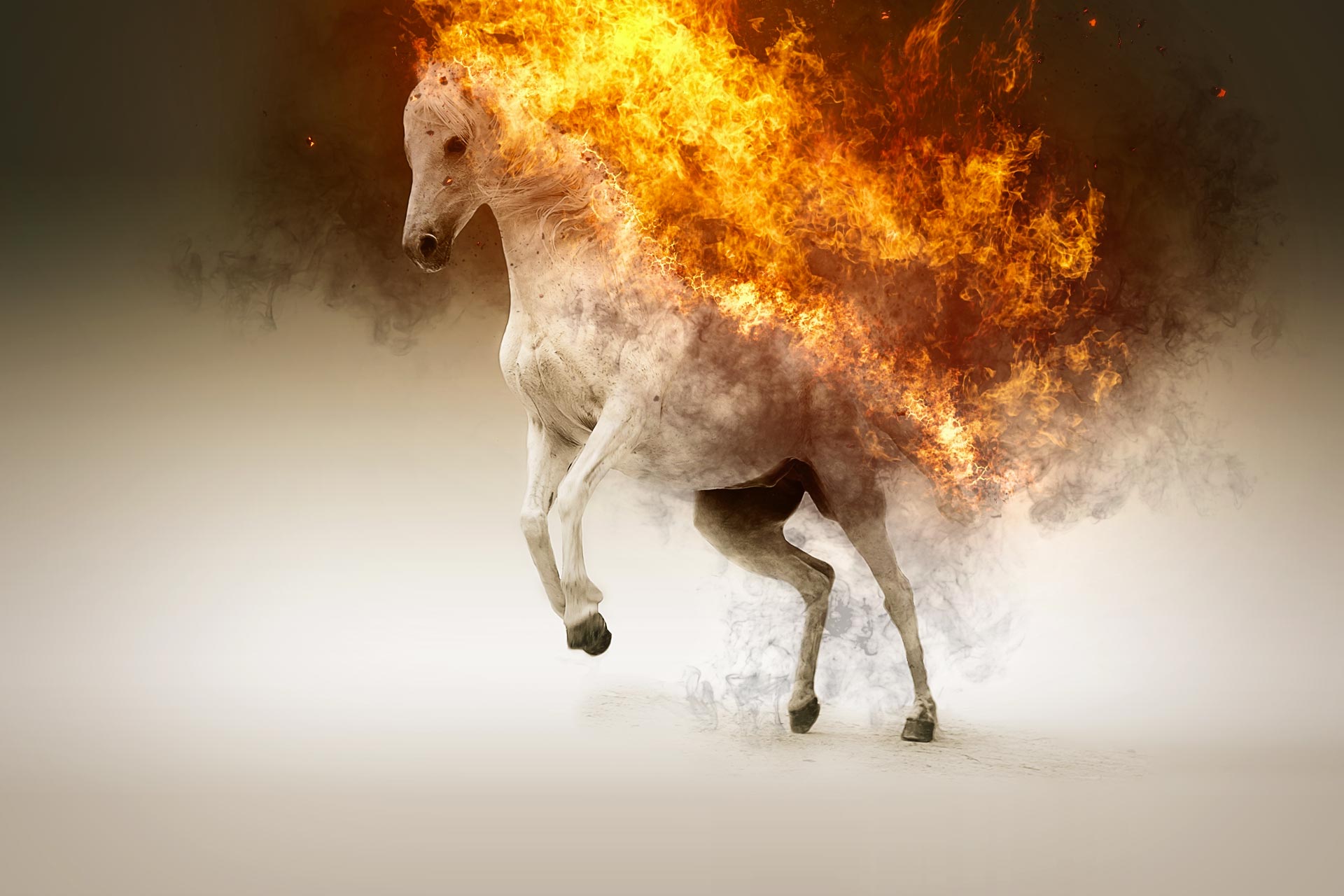 Branding und <br>Strategie